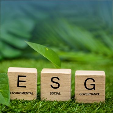 FI Sustainability ESG 370x370