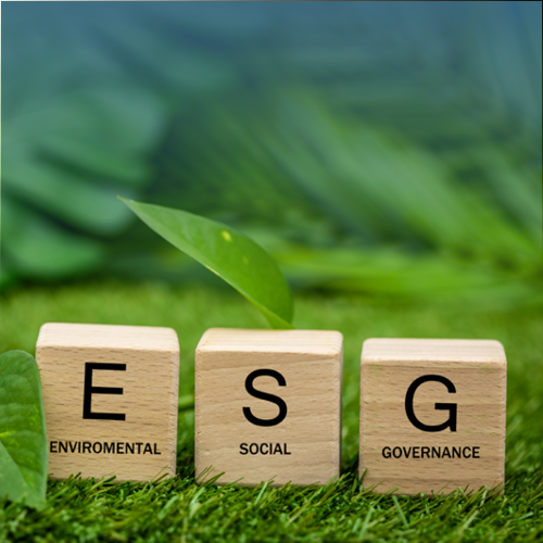 FI Sustainability ESG 500